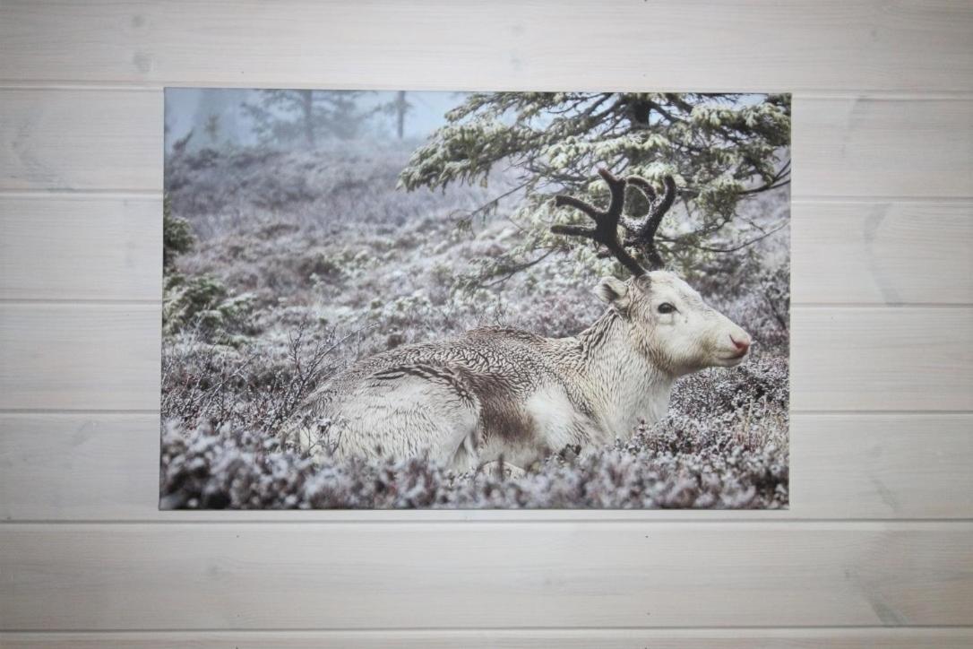 Lapland Happiness Hillakka 2 A8 Daire Äkäslompolo Dış mekan fotoğraf